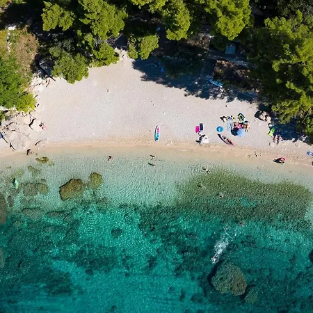 Beachfront Vala With A Swimming Pool شقة