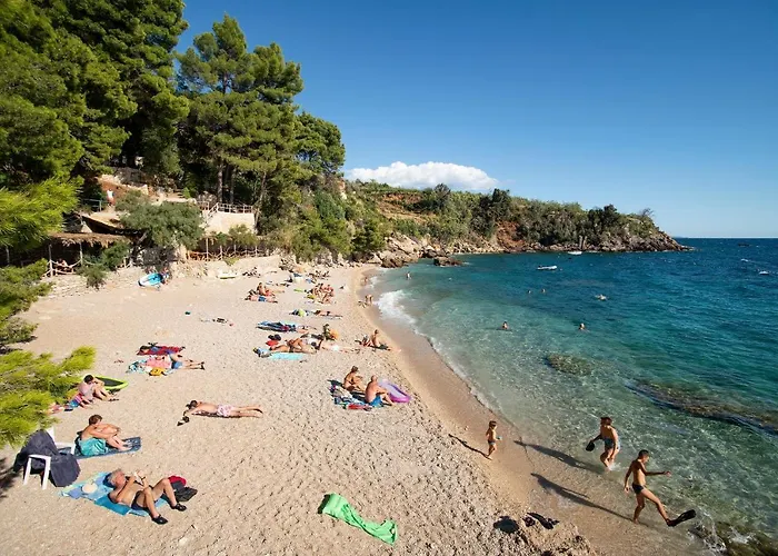 Beachfront Vala With A Swimming Pool Orebić